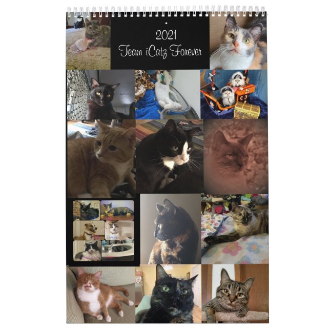 Calendar (Cover)