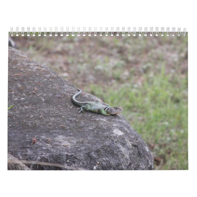 Calendar (Cover)