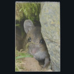 Calendar<br><div class="desc">Wildlife Calendar</div>
