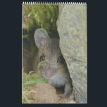 Calendar<br><div class="desc">Wildlife Calendar</div>