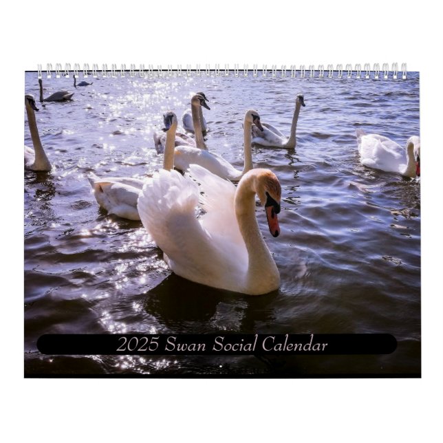 Calendar (Cover)