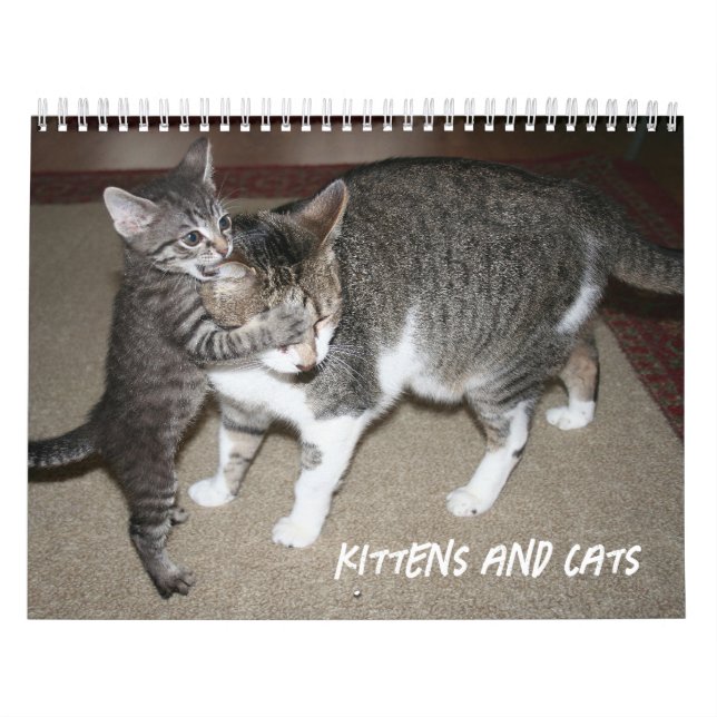 Calendar (Cover)