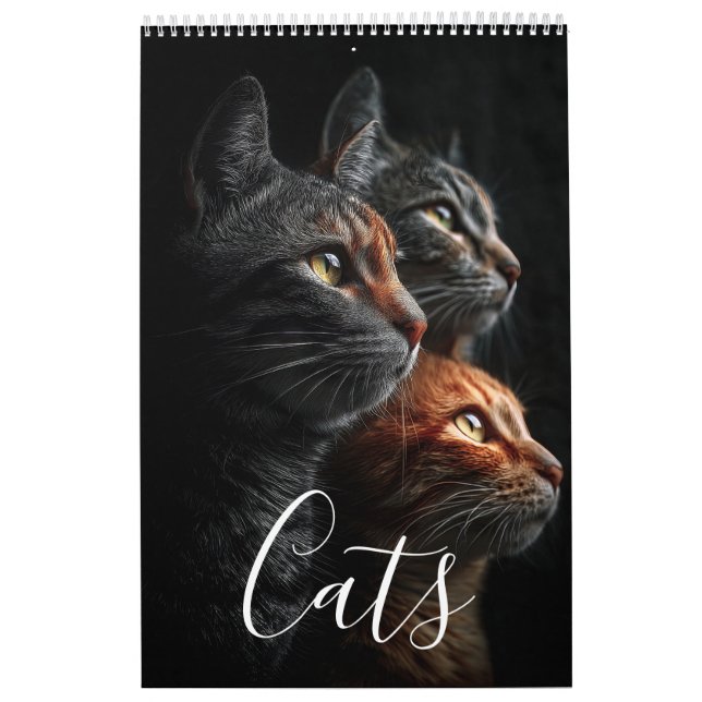 Calendar (Cover)