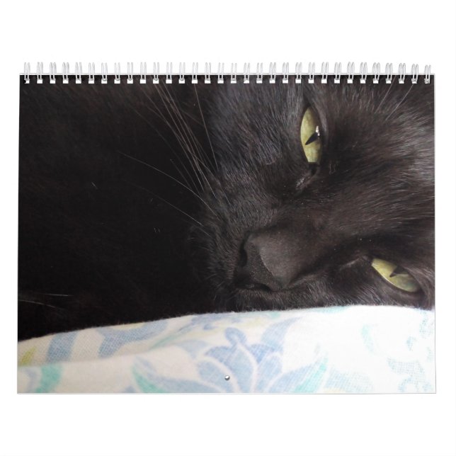 Calendar (Cover)