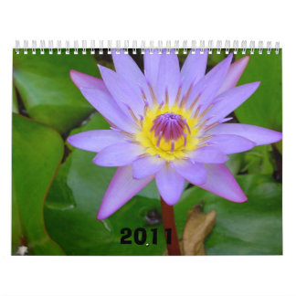 Calendar, 2011 calendar