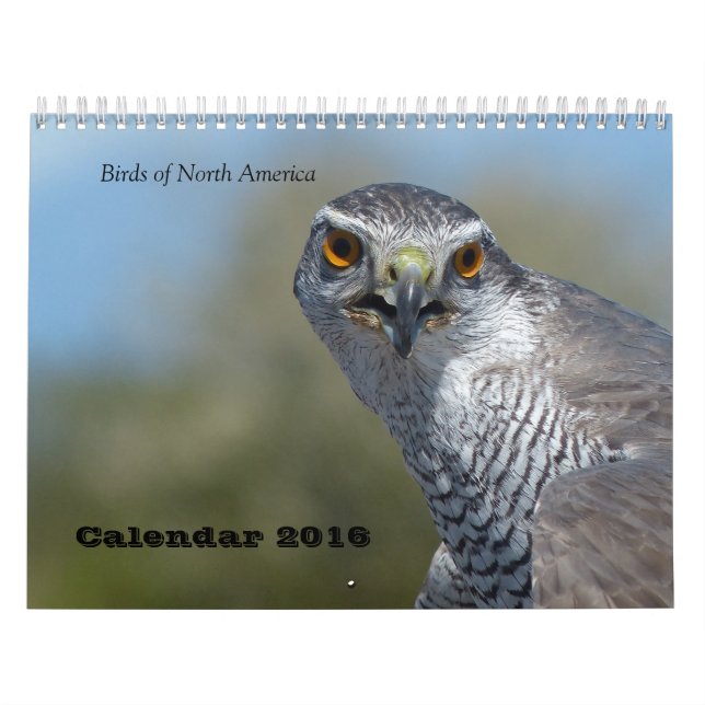 Calendar 2016 - Birds of North America (Cover)