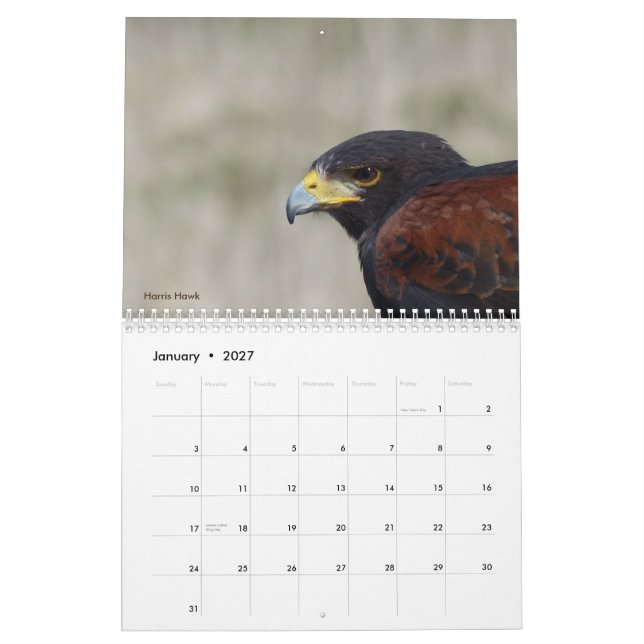 Calendar 2017 - Birds of North America (Jan 2027)