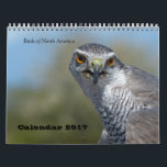 Calendar 2017 - Birds of North America<br><div class="desc">Monthly Calendar 2017 - Birds of North America with photos of some typical birds in North America. Included are also the US Holidays.</div>