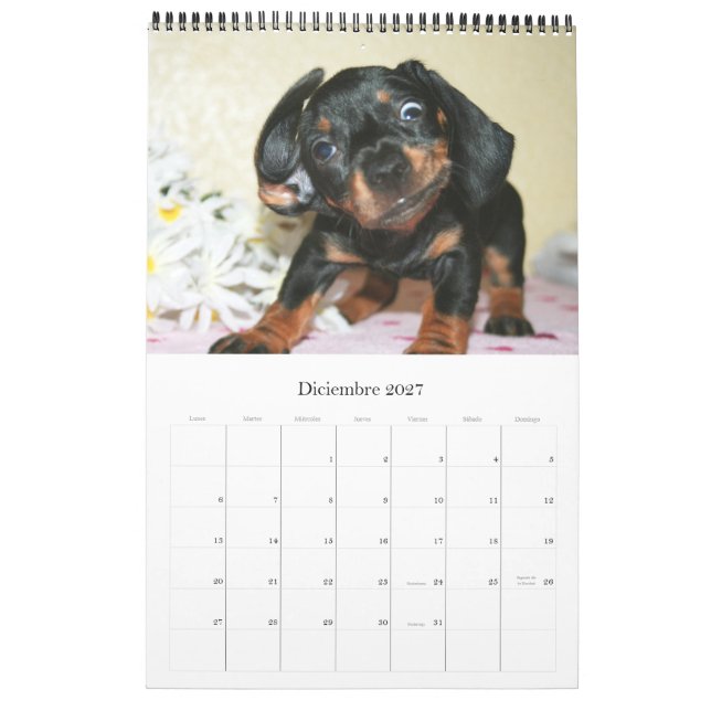 Calendar 2017 Puppy Dachshunds (Dec 2027)