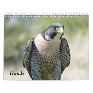 Calendar 2021 12 months, Hawks