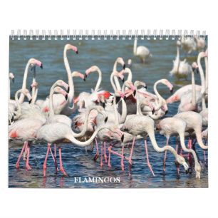 Calendar 2023 Flamingos