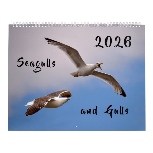 Calendar 2023 Gulls and Seagulls (Cover)