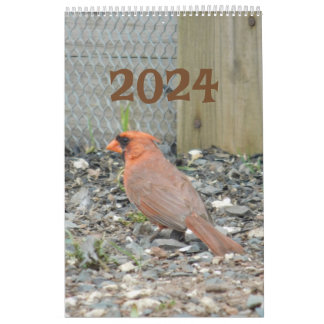 Calendar 2024 Backyard Birds
