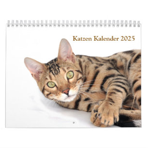 Calendar 2025 Cat Lover Cats