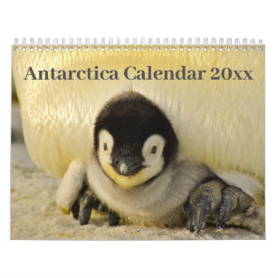 Calendar 20xx - Antarctica
