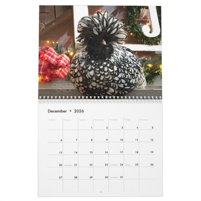 Calendar 3: The Chicken Chick's Flock (Dec 2026)