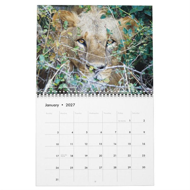 Calendar - Africa on Safari (Jan 2027)