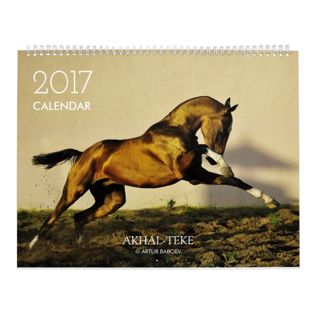 Calendar. Akhal-teke HORSES. 2017 Calendar (Cover)