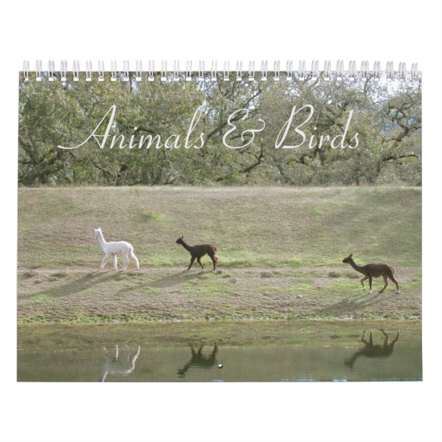 Calendar - Animals and Birds (Cover)