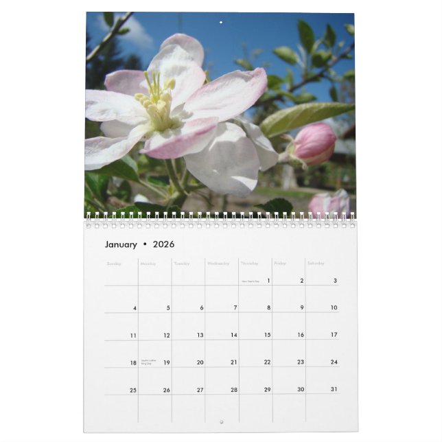 CALENDAR APPLE BLOSSOMS Calendar Spring Art (Jan 2026)