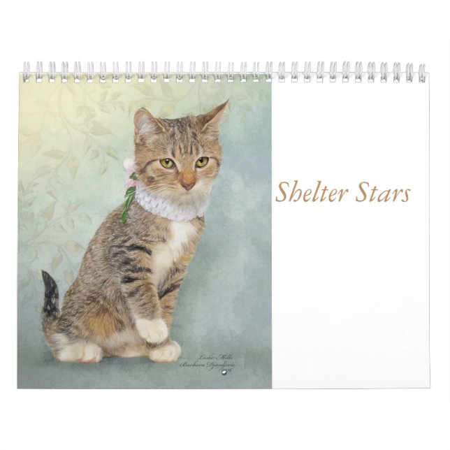 Calendar art featuring shelter animals (Cover)