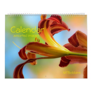Calendar - Assorted Images - with Large Numbers