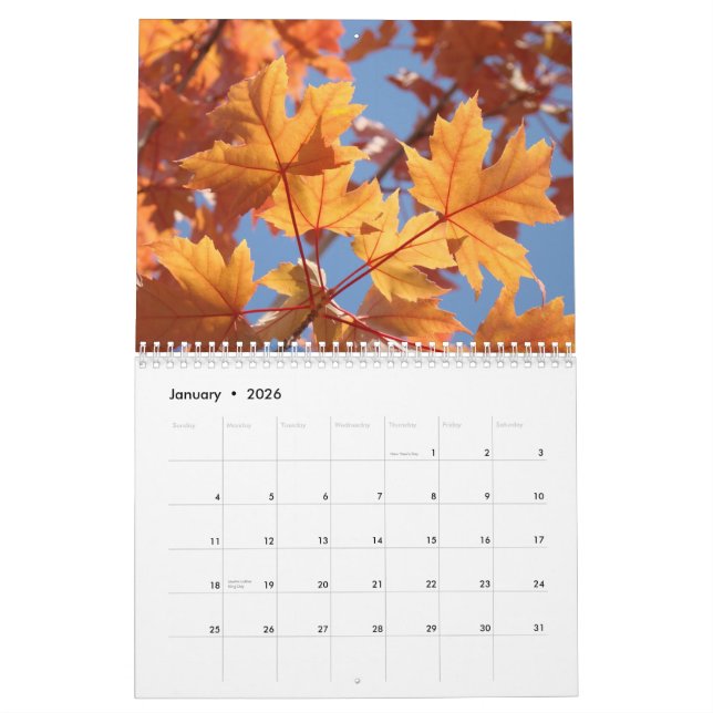 CALENDAR  AUTUMN Calendars FALL ART Leaves (Jan 2026)