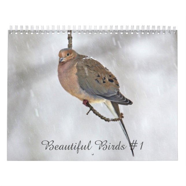Calendar Beautiful Birds #1 (Cover)