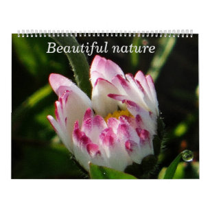 Calendar Beautiful Nature