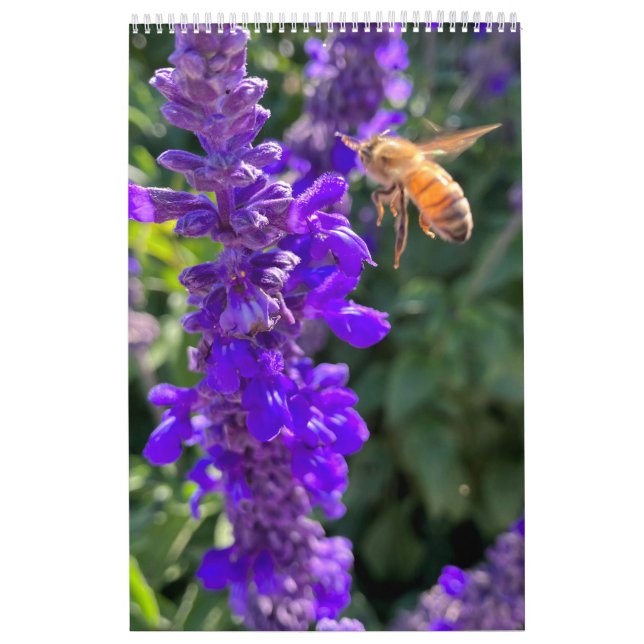 Calendar bees butterflys (Cover)