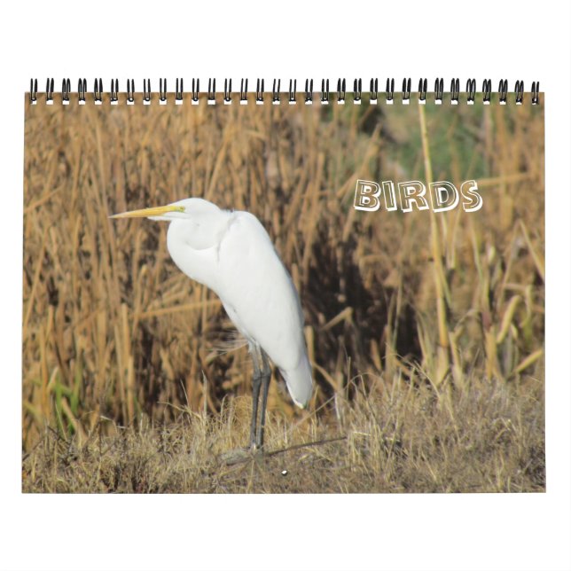 Calendar - Birds for New Year (Cover)
