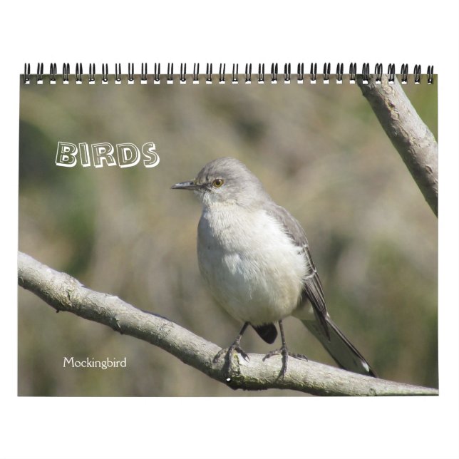 Calendar - Birds (large dates) (Cover)