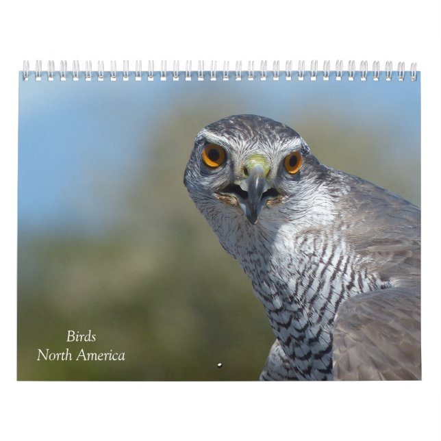 Calendar - Birds of North America (Cover)