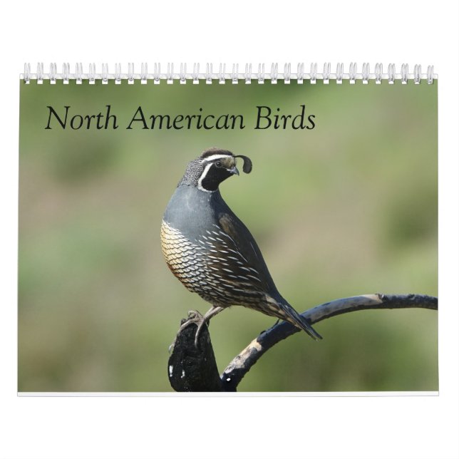 Calendar - Birds of North America (Cover)