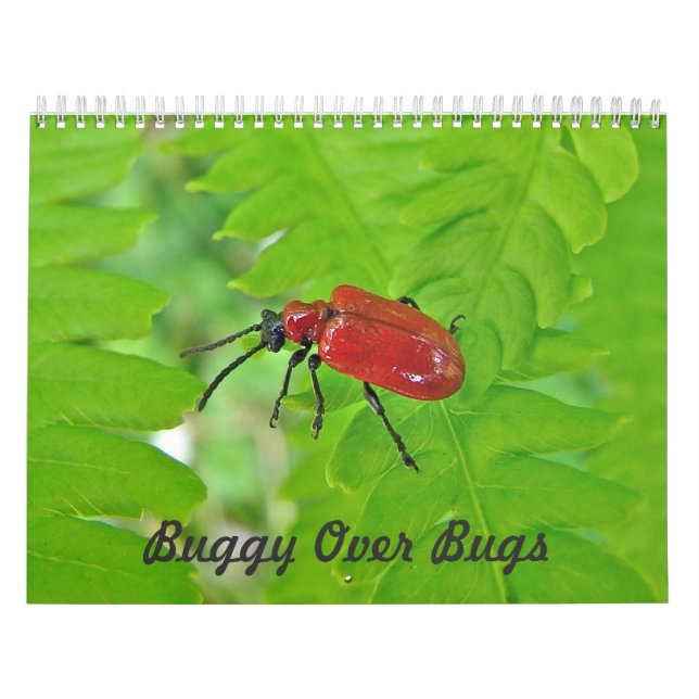 Calendar - Buggy Over Bugs (Cover)
