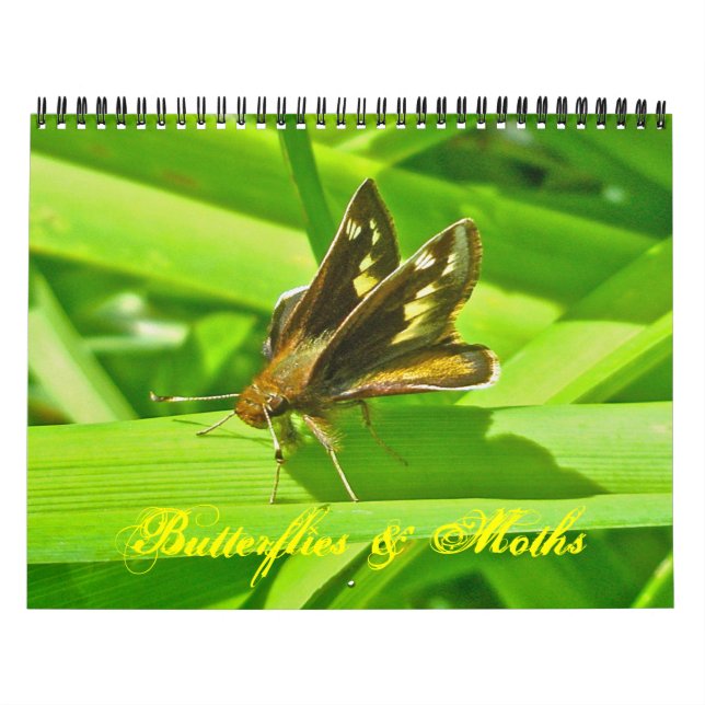 Calendar - Butterflies & Moths (Cover)
