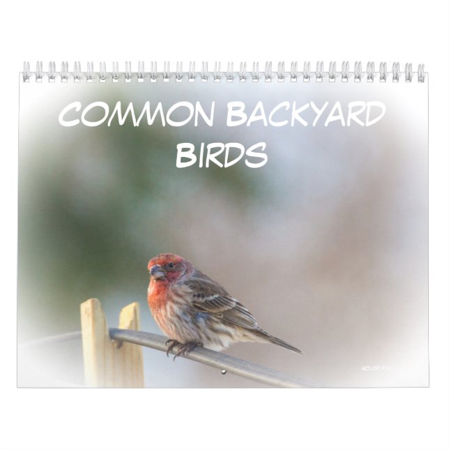 Calendar - Common Backyard Birds (Cover)