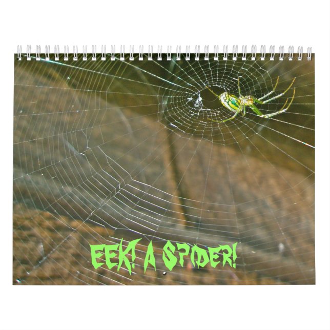 Calendar - EEK! A Spider! (Cover)