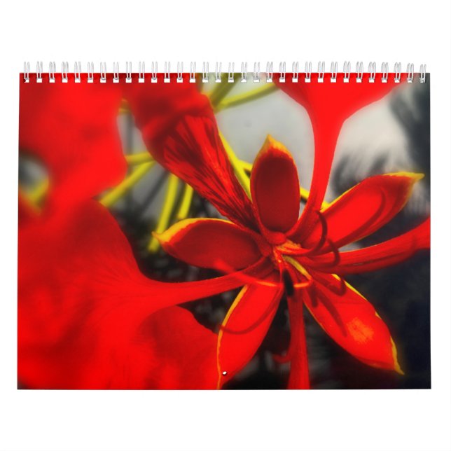 Calendar Flowers (Cover)