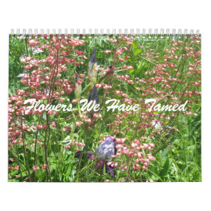 Calendar - Flowers We Have Tamed