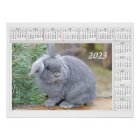 Calendar for 2023 Cute grey rabbit
