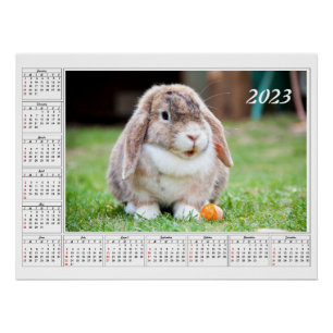 Calendar for 2023 Cute lop-eared rabbit Poster