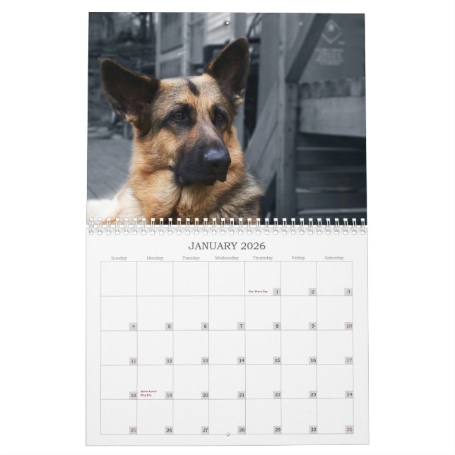Calendar - German Shepherd (Jan 2026)