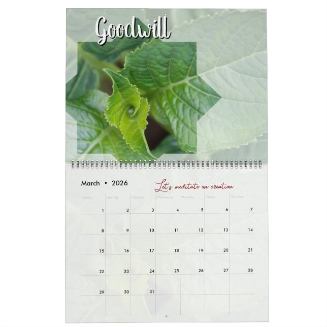 Calendar God meditation garden: star & word (Mar 2026)