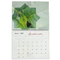 Calendar God meditation nature elegant star
