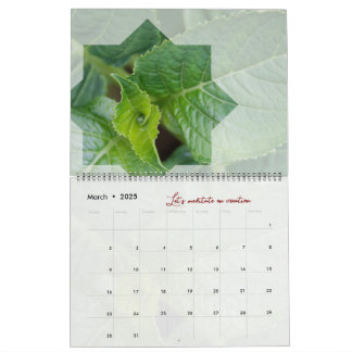 Calendar God meditation nature elegant star