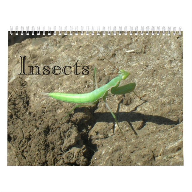 Calendar - Insects (Cover)