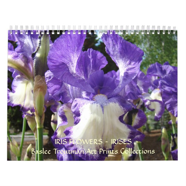 CALENDAR Irises Calendar Iris Flowers (Cover)