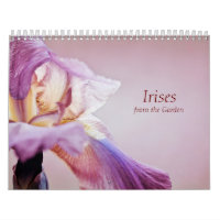 Calendar Irises from the Garden