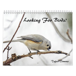 Calendar - Looking For Birds?